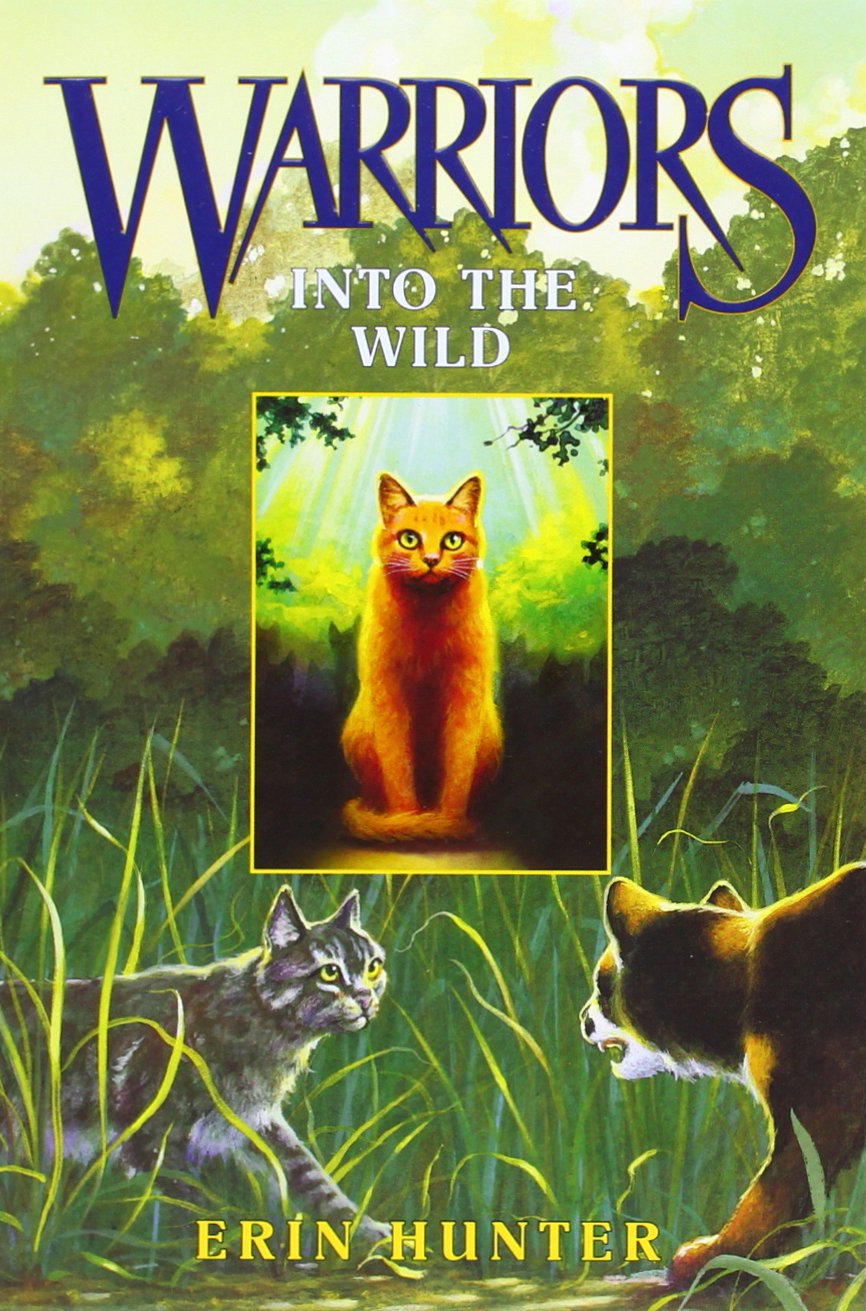 Warriors Box Set: Volumes 1 to 6 by Hunter, Erin