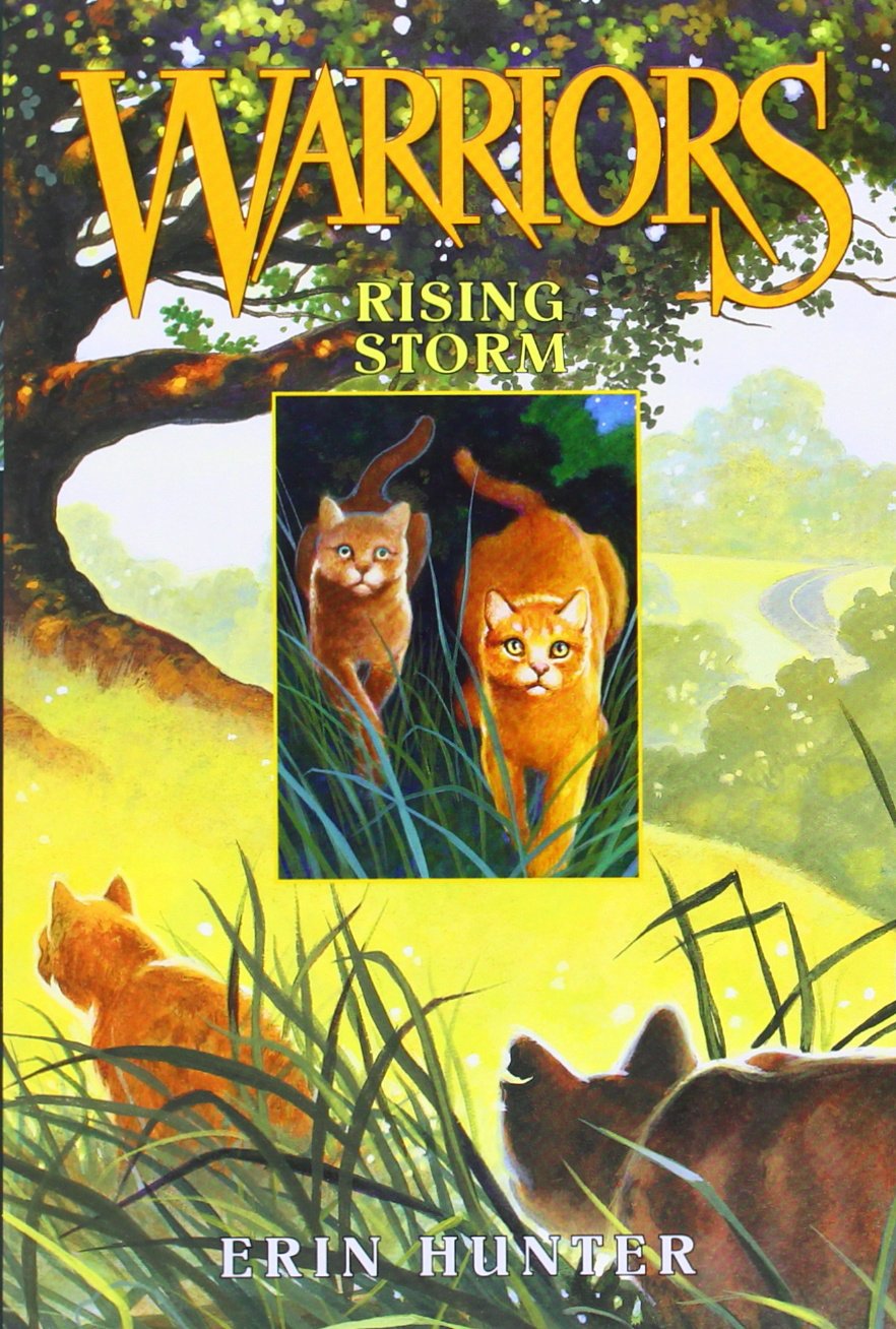 Warriors Box Set: Volumes 1 to 6 by Hunter, Erin