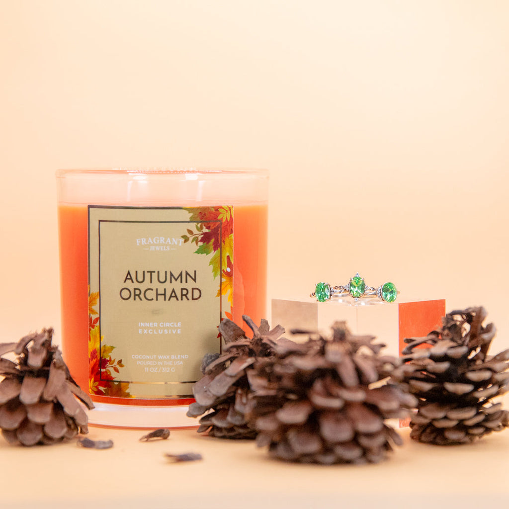 Autumn Orchard - Candle and Bath Bomb Set