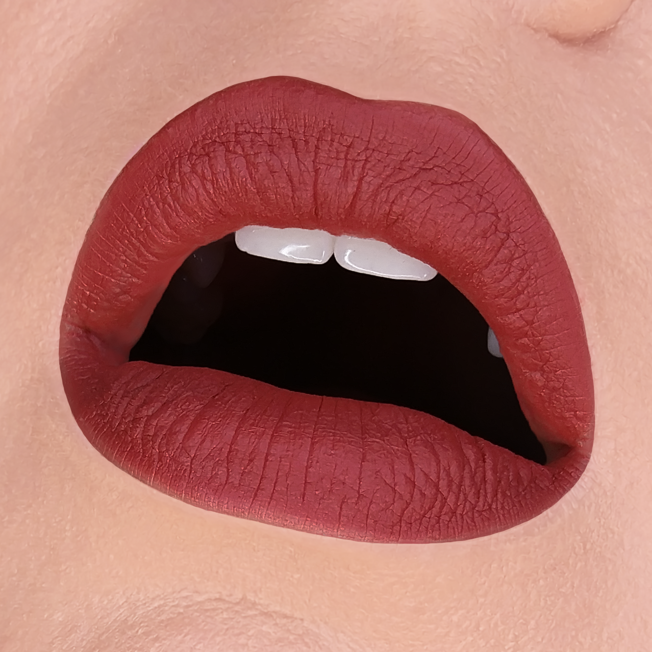 HOLLOWED LIP MUD - HB 448