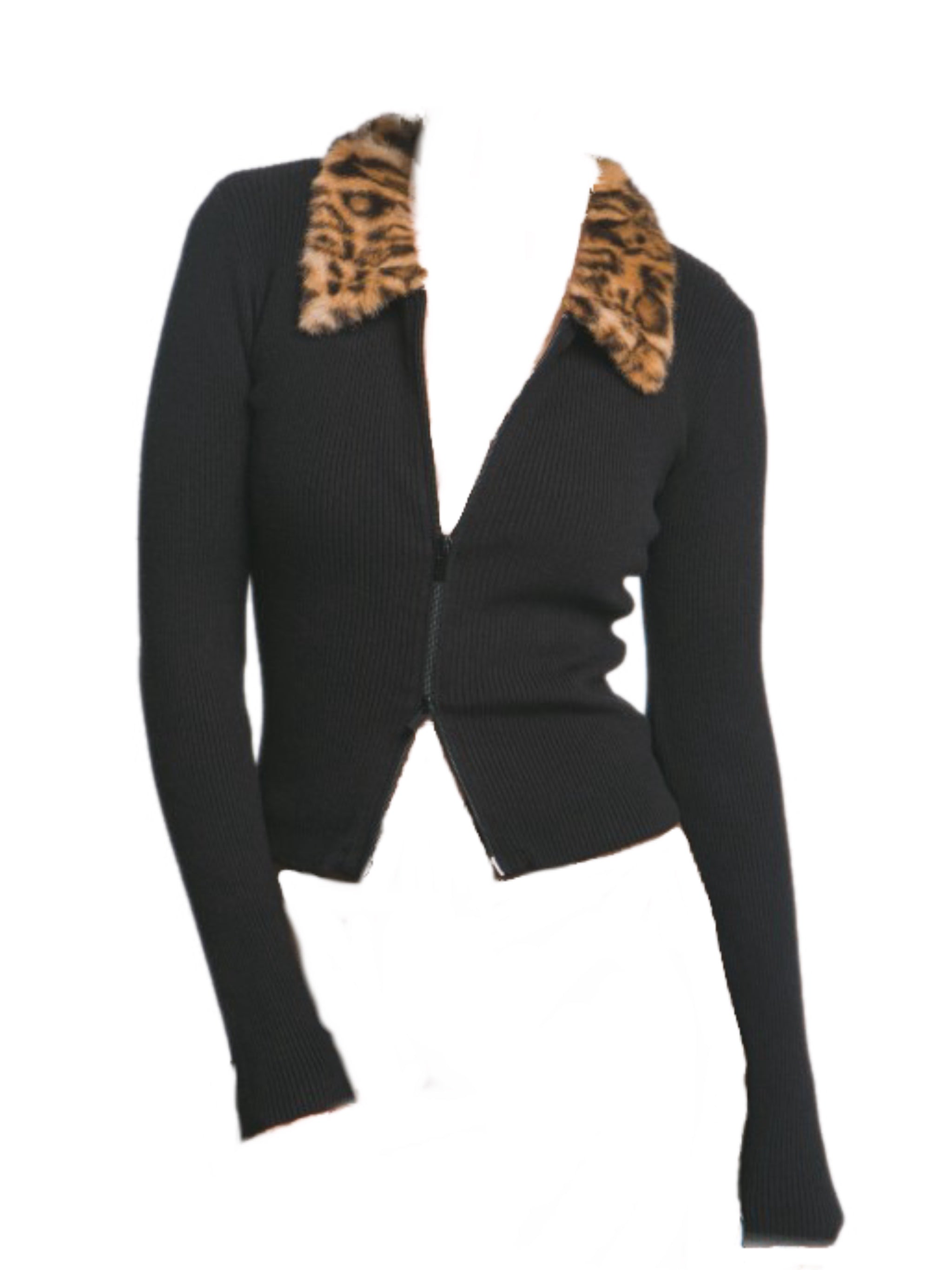 Wilma Top